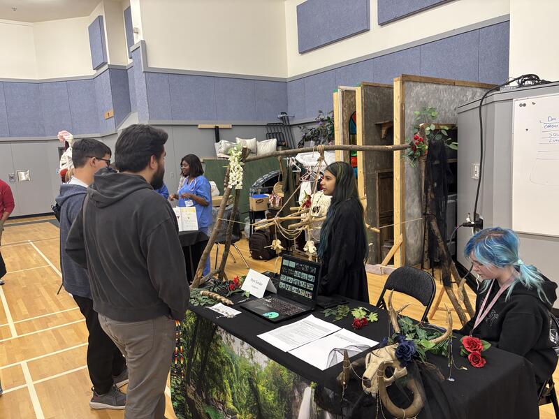 Capstone projects